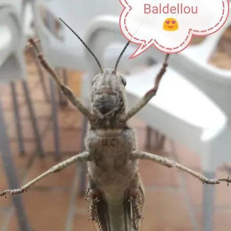 Casa Albano Хостел Бальдельоу