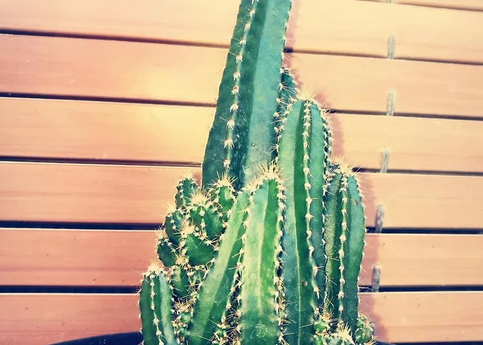 Albergue Casa Albano Baldellou