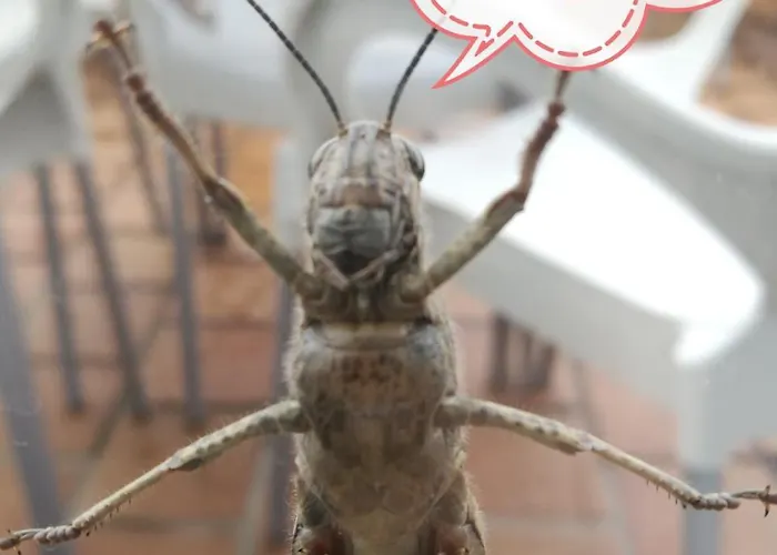 Casa Albano Albergue Baldellou